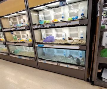 Petco
