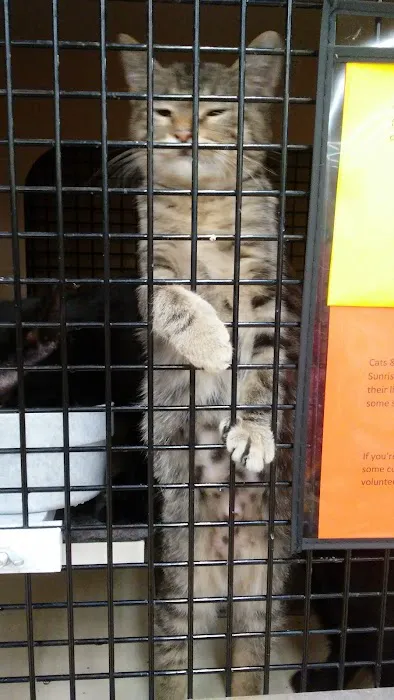 Petco 9