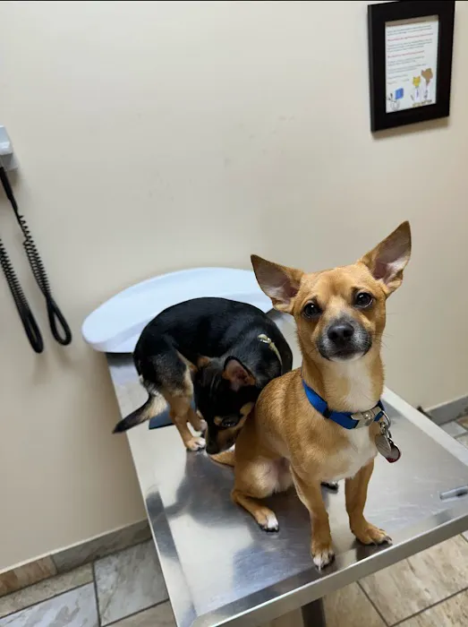 Garden City Veterinary Hospital 6