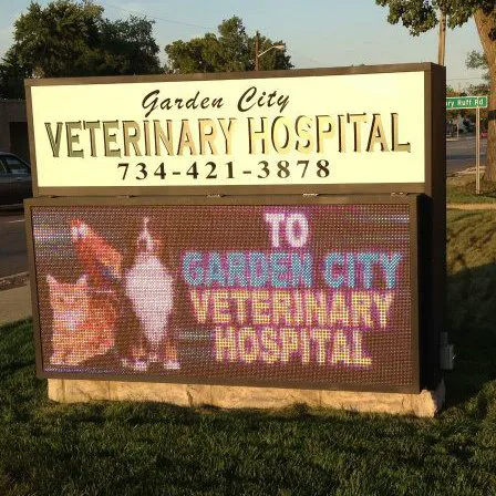 Garden City Veterinary Hospital 10