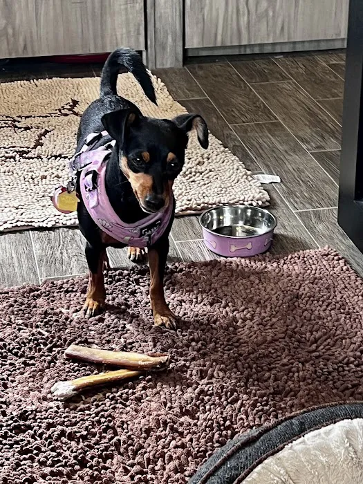 Dearborn Family Pet Care 9