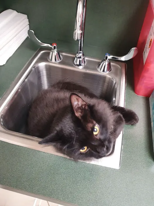 Dearborn Family Pet Care 7