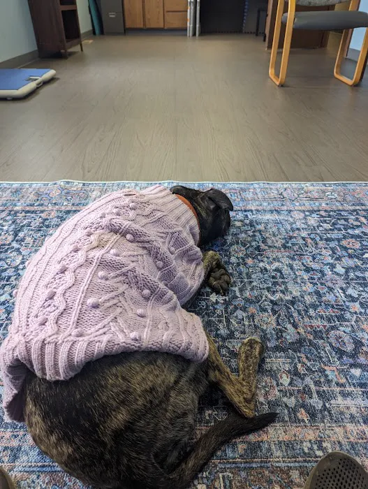 Great Lakes Veterinary Behavior Consultants 2
