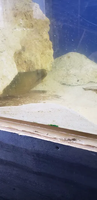 Midwest aquarium and pond. 10