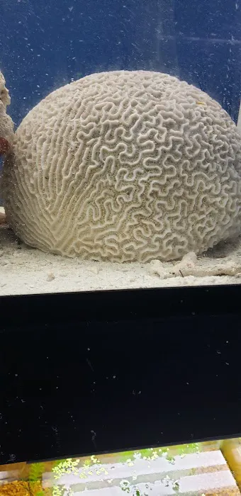 Midwest aquarium and pond. 1