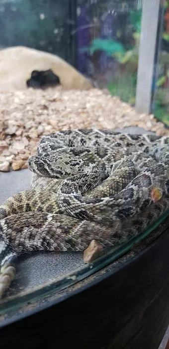 Midwest aquarium and pond. 9