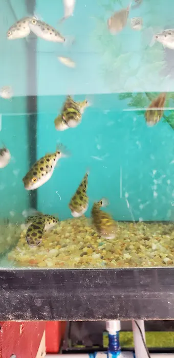 Midwest aquarium and pond. 8