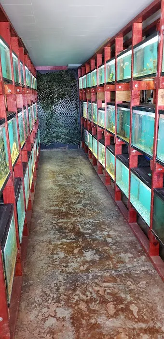 Midwest aquarium and pond. 2