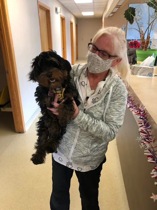 Allen Animal Hospital 1