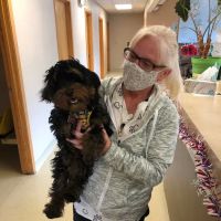 Allen Animal Hospital ico