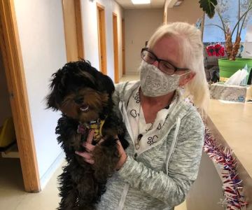 Allen Animal Hospital