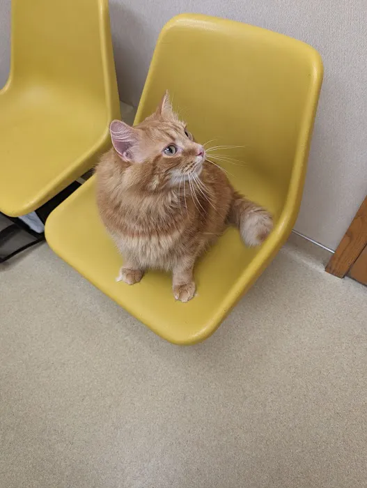 Allen Animal Hospital 3