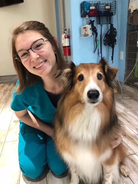 Island Animal Hospital at Viera 7