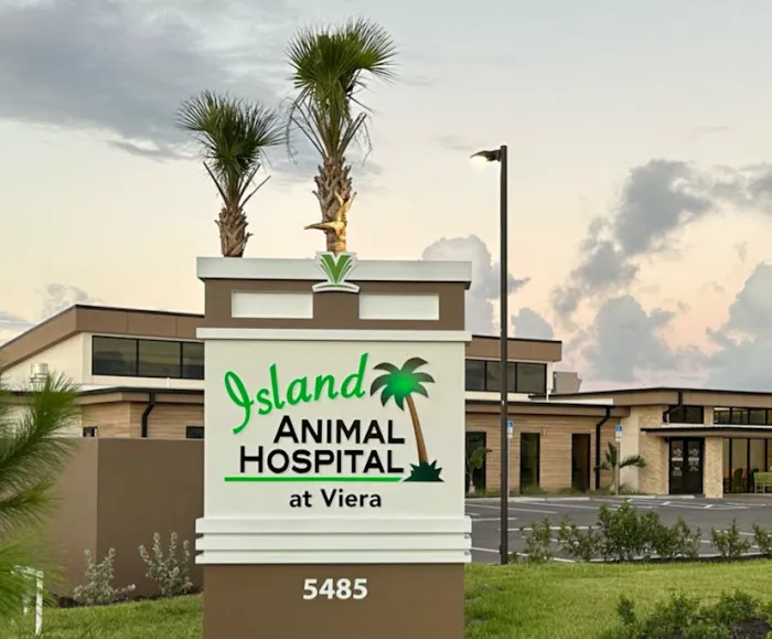 Island Animal Hospital at Viera 10