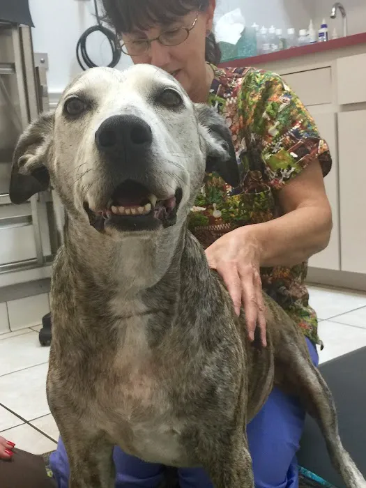 Coastal Animal Hospital 9