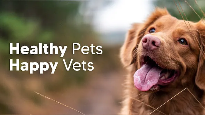 Florida Affordable Veterinary Services 2