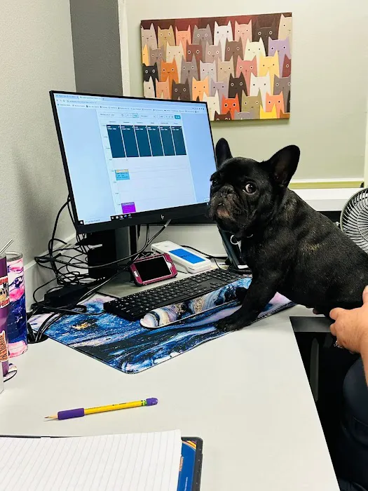Florida Affordable Veterinary Services 8