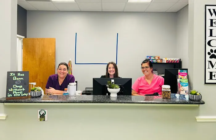Florida Affordable Veterinary Services 5