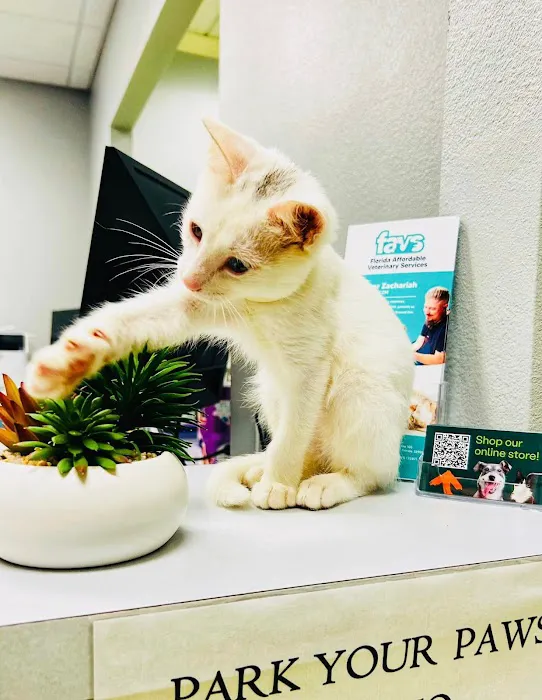 Florida Affordable Veterinary Services 6