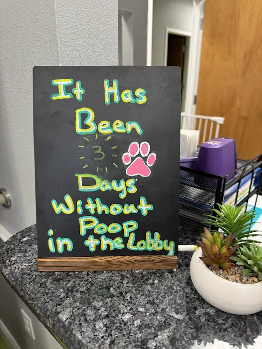 Florida Affordable Veterinary Services 4