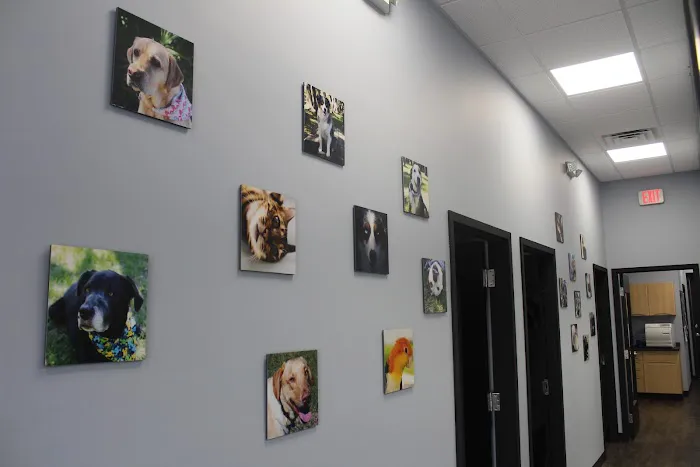 Schroeck Veterinary Care 4