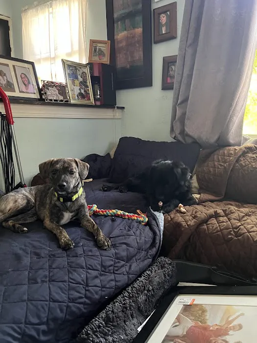 Schroeck Veterinary Care 7