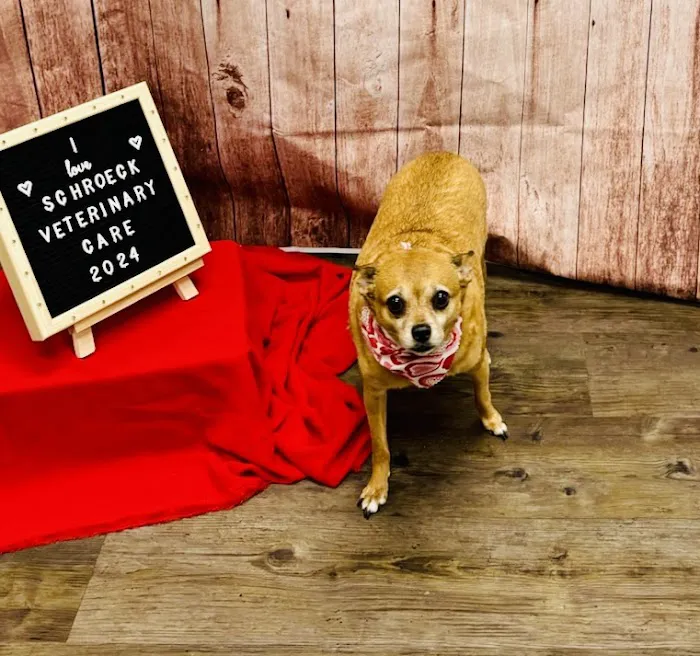 Schroeck Veterinary Care 6