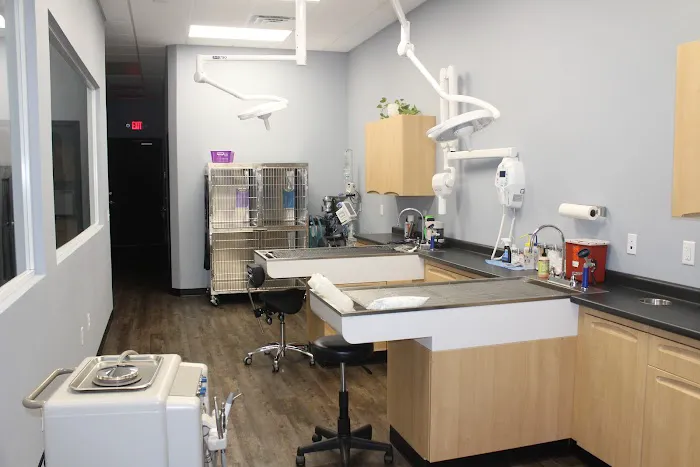 Schroeck Veterinary Care 8