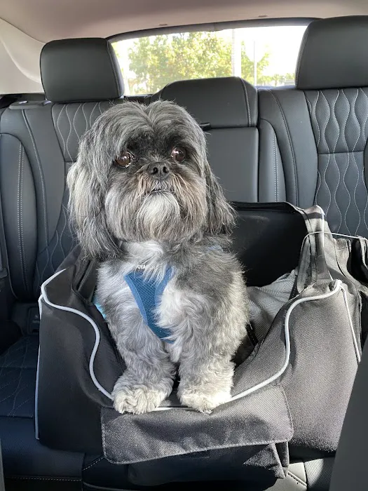Rockledge Animal Clinic 2