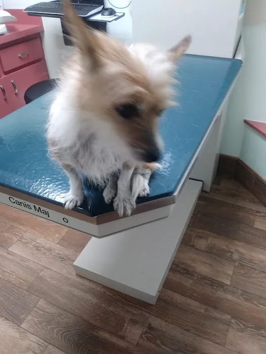 Rockledge Animal Clinic 4