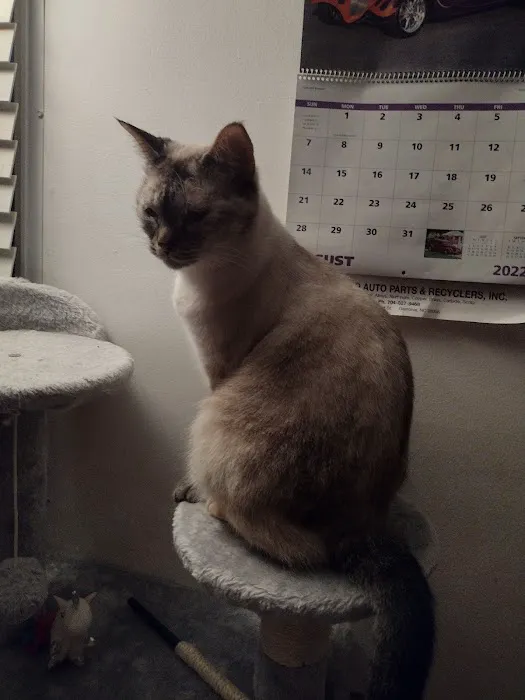 Applewood Animal Hospital 6