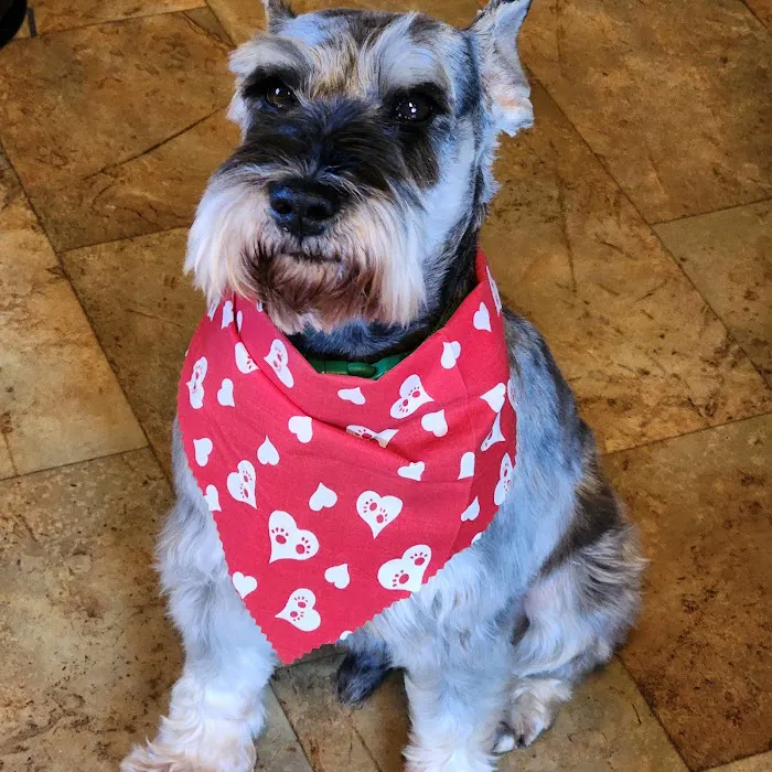 Applewood Animal Hospital 10