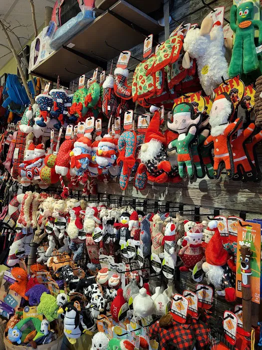 Fresh Tracks Pet Shop 9