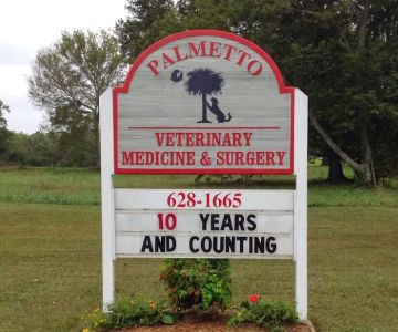 Palmetto Veterinary Medicine & Surgery