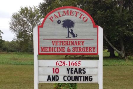 Palmetto Veterinary Medicine & Surgery