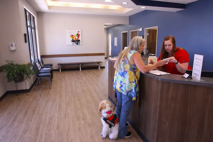 Palmetto Veterinary Medicine & Surgery 8