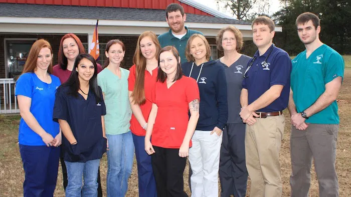 Palmetto Veterinary Medicine & Surgery 9