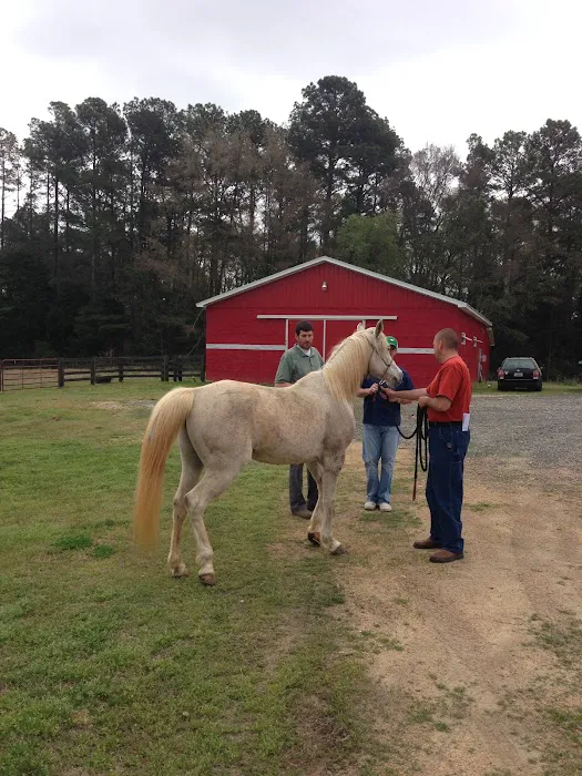 Palmetto Veterinary Medicine & Surgery 10