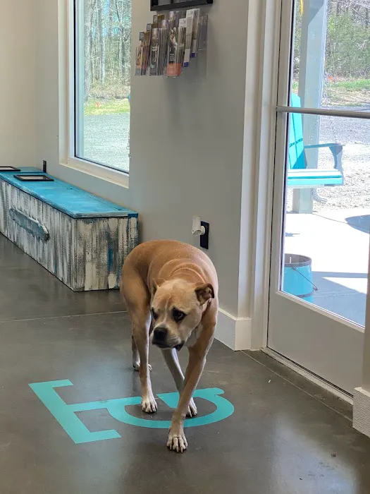 TopGun Veterinarian Service LLC 5