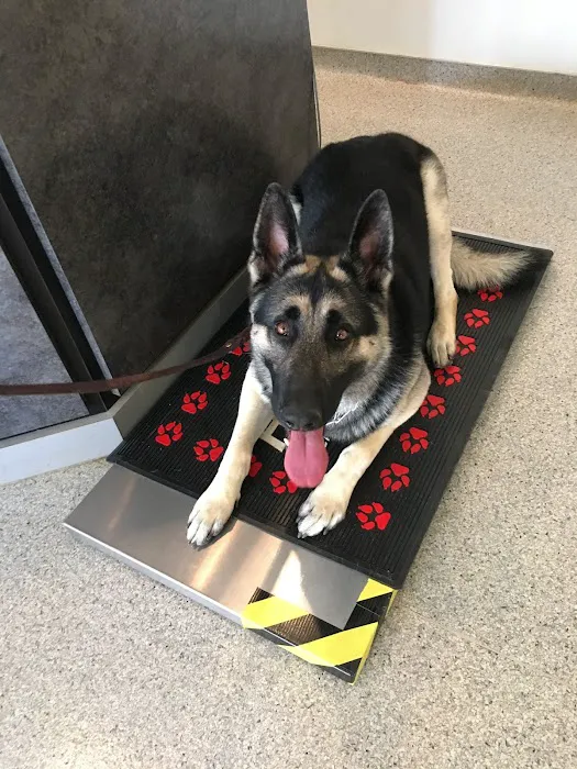 Denton Animal Hospital 2
