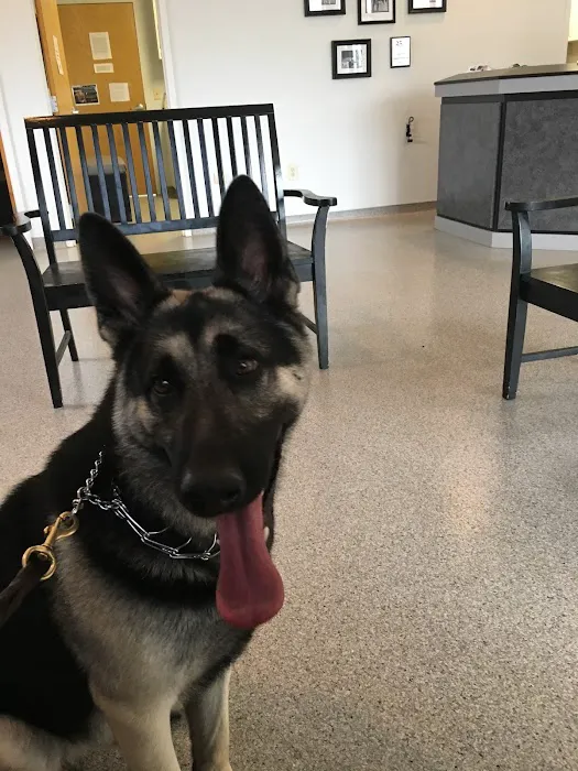 Denton Animal Hospital 1