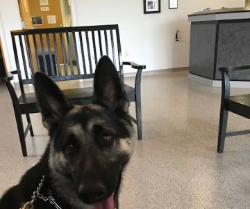 Denton Animal Hospital