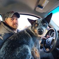 Salisbury Animal Hospital PA ico