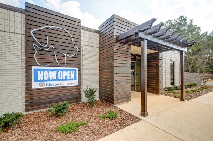 Animal Hospital Biscoe 10