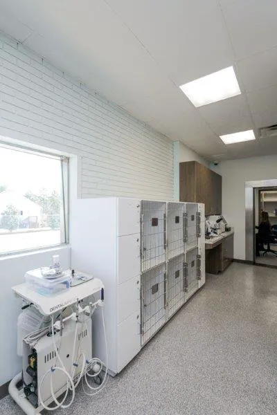 Animal Hospital Biscoe 6