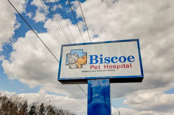 Animal Hospital Biscoe 3