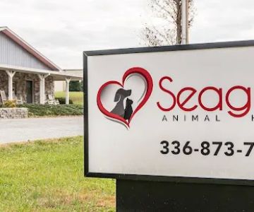 Seagrove Animal Hospital