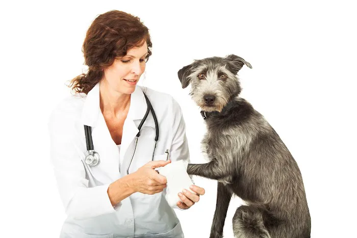 Seagrove Animal Hospital 3