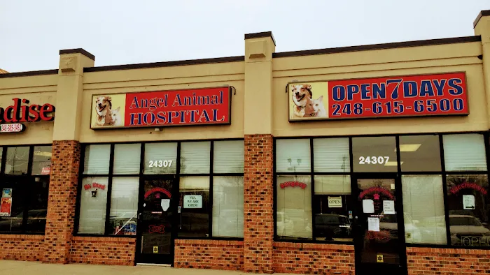 Angel Animal Hospital 10