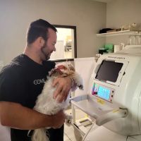 COVE Center of Veterinary Excellence ico